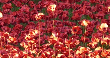 REMEMBRANCE SUNDAY – om det blodige søslag ved Jylland